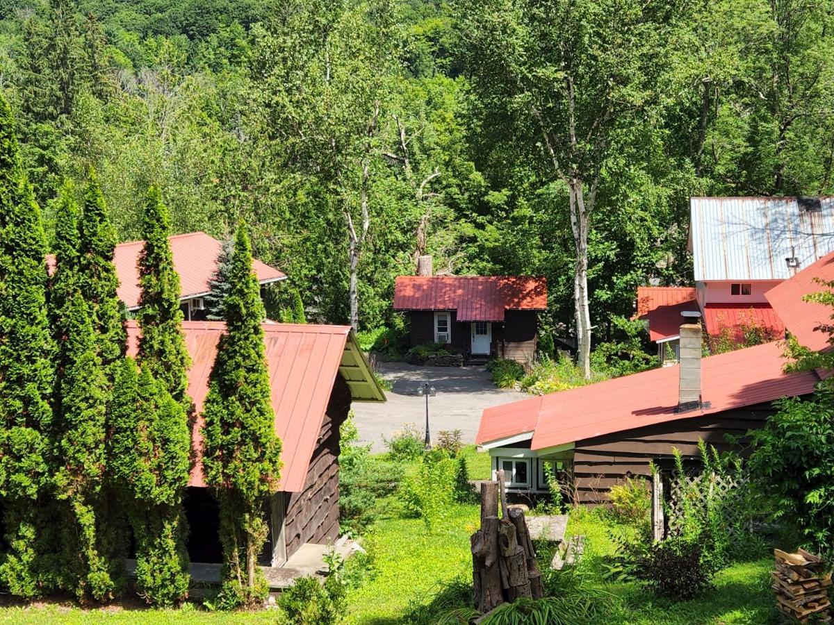 Belleayre Lodge Pine Hill Exteriér fotografie