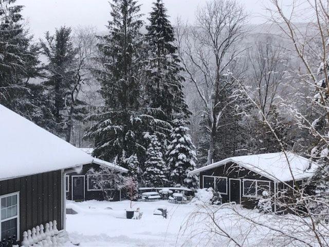 Belleayre Lodge Pine Hill Exteriér fotografie