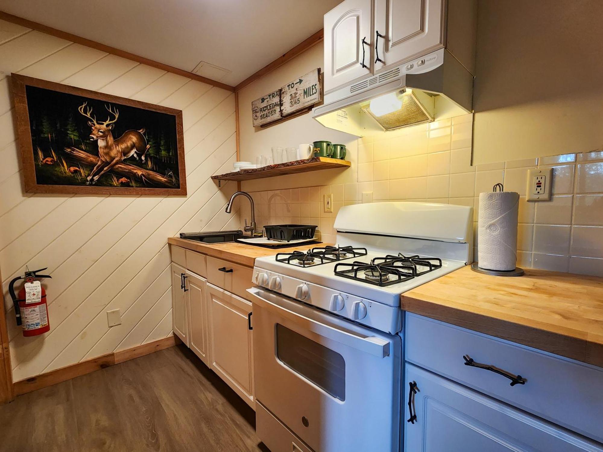 Belleayre Lodge Pine Hill Pokoj fotografie